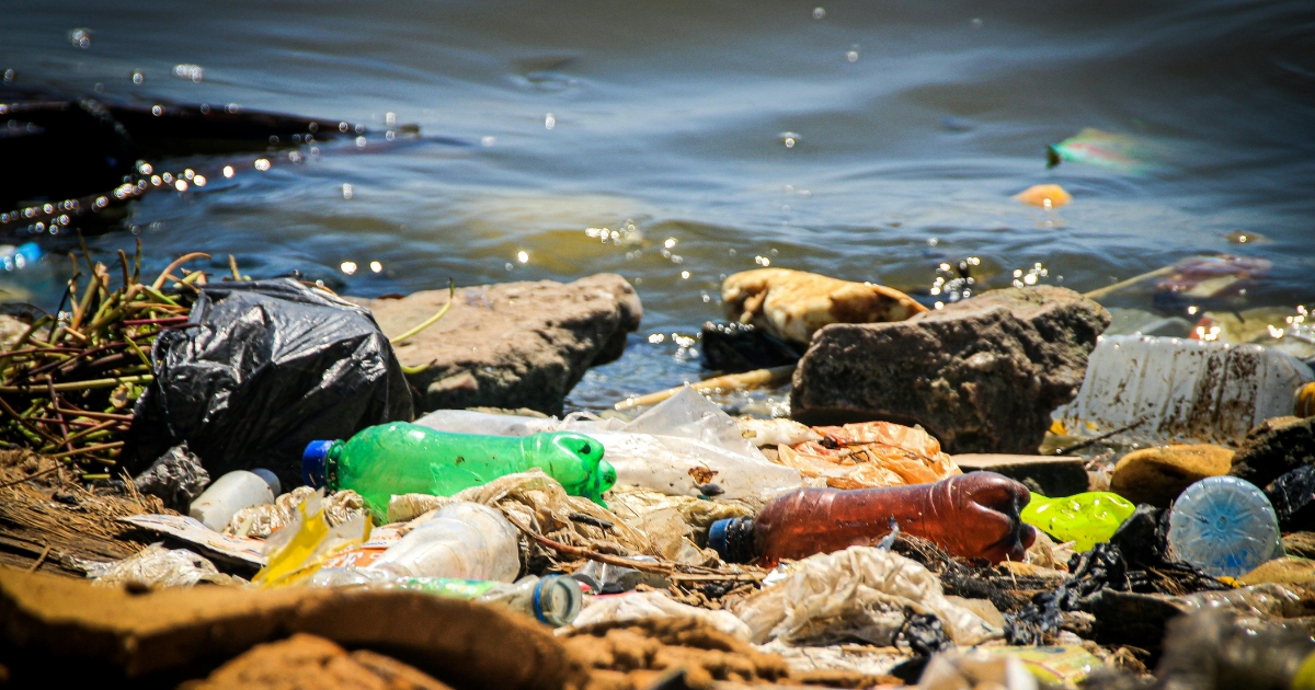 plastic pollution
