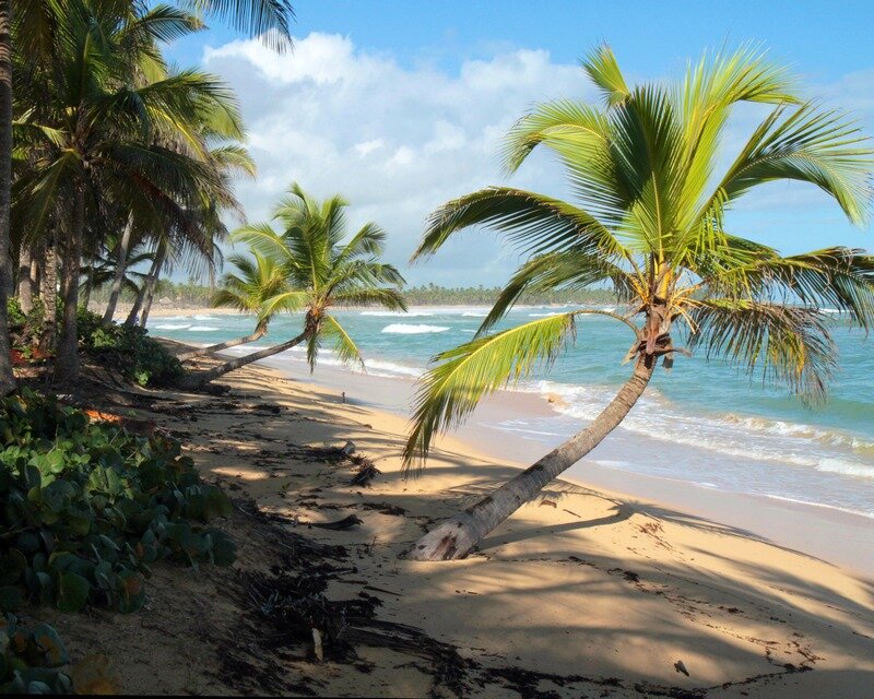 PUNTA CANA 0