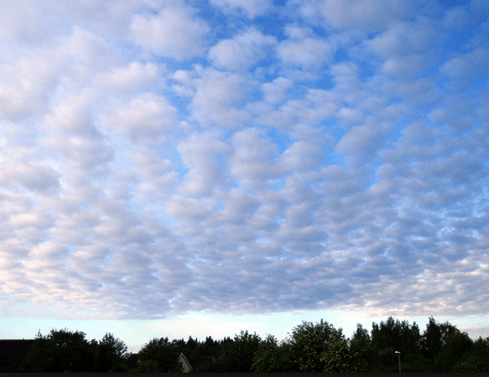 Altocumulus