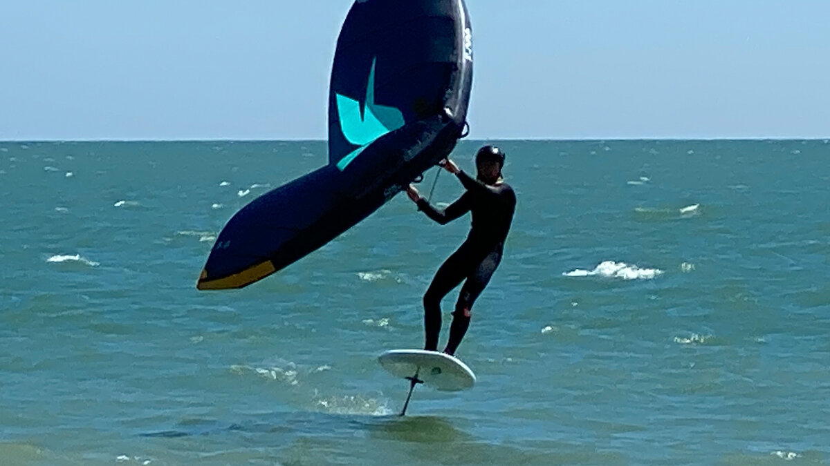 wing