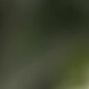 blank-profile-290037