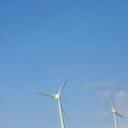 blank-profile-317099