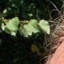 blank-profile-297657