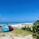 blank-profile-376423