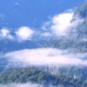 blank-profile-376330