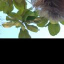 blank-profile-241841