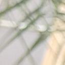 blank-profile-399048