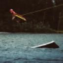 blank-profile-188631