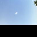 blank-profile-295752