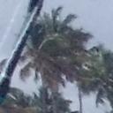 blank-profile-428649