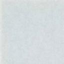 blank-profile-157511