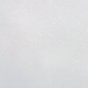 blank-profile-312920