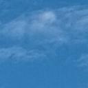 blank-profile-379920