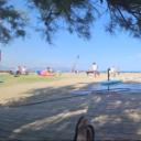 blank-profile-433609