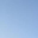 blank-profile-288174