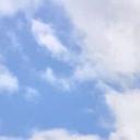 blank-profile-311629