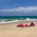 blank-profile-423135