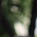 blank-profile-346738