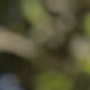 blank-profile-196388