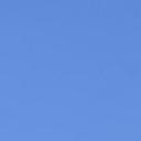 blank-profile-219717