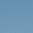 blank-profile-397021