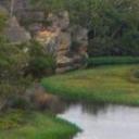 blank-profile-201032