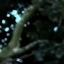 blank-profile-427935