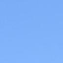 blank-profile-273003