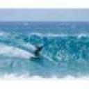 Joachim profile image