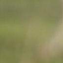 blank-profile-219266