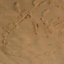 blank-profile-147366