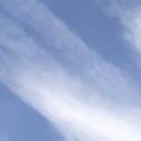 blank-profile-269590