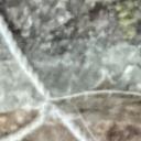 blank-profile-228915