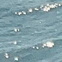 blank-profile-235110