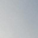 blank-profile-222182