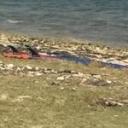 blank-profile-130464