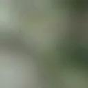 blank-profile-117220