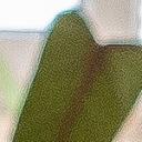 blank-profile-422831