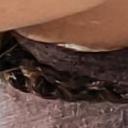 blank-profile-301890