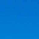 blank-profile-222628