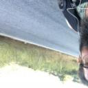 blank-profile-238348