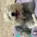 blank-profile-375645