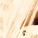 blank-profile-178412