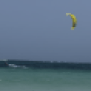 blank-profile-257524