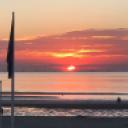 blank-profile-178183