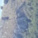 blank-profile-337960