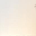 blank-profile-337708