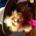 blank-profile-168776