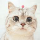 blank-profile-188696