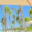 blank-profile-338288